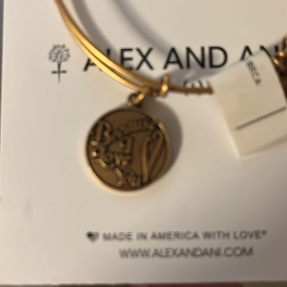Alex and Ani Energy Braclet - Picture 6 of 6